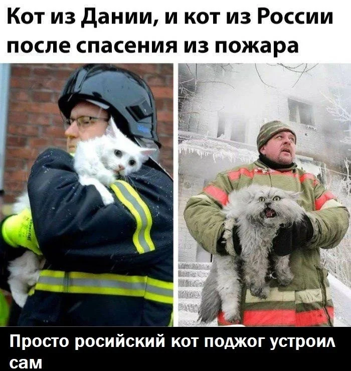 VK_Saved_Photo_ 636742961526903990.webp