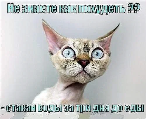 VK_Saved_Photo_ 636744140524282135.webp