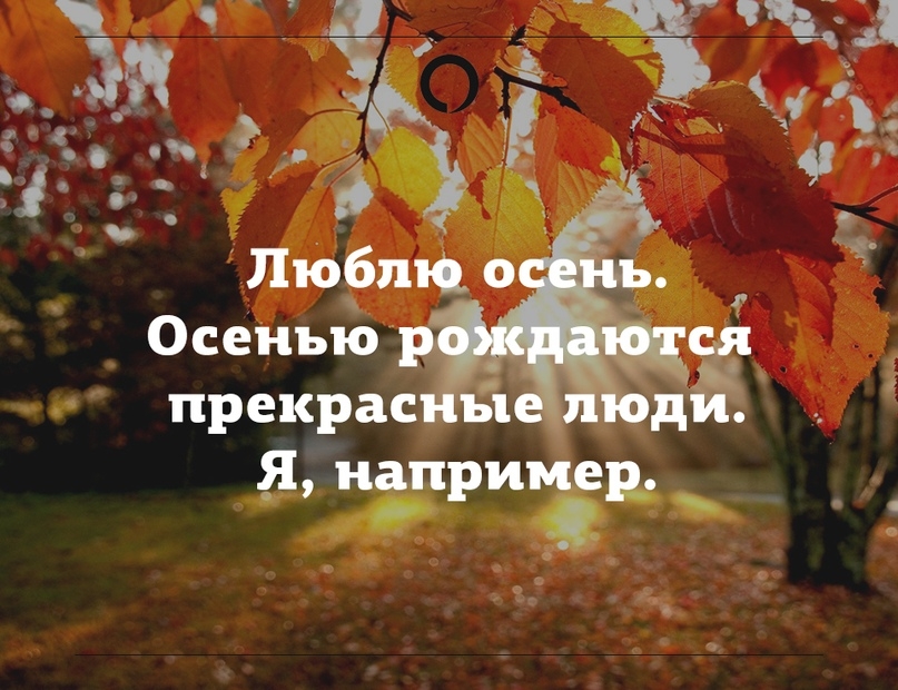 VK_Saved_Photo_ 636747711231700287.jpg