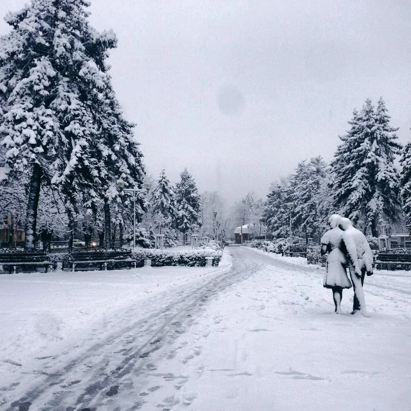 VK_Saved_Photo_ 636791249136144895.webp