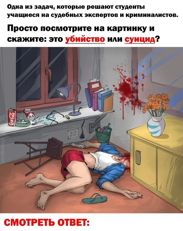 VK_Saved_Photo_ 636830665150573237.webp