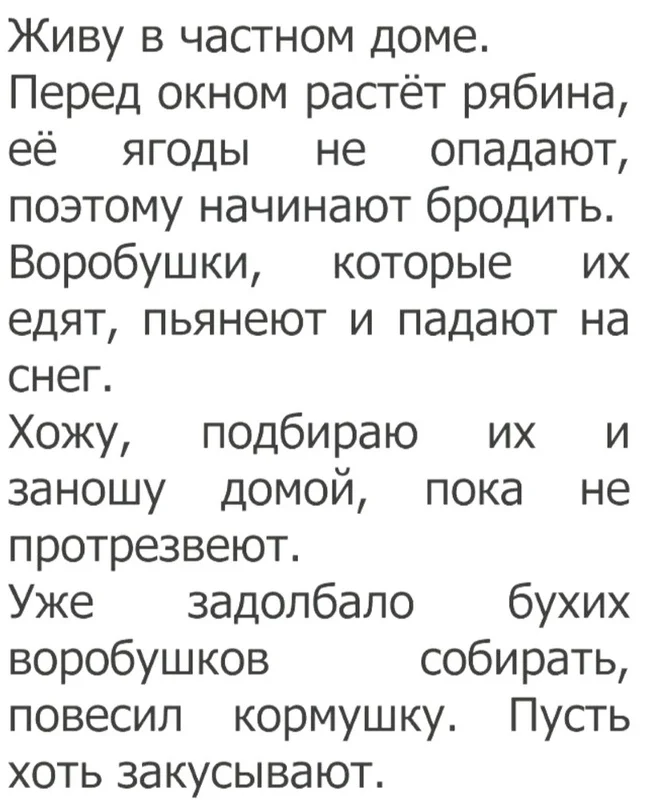 VK_Saved_Photo_ 636830667415561701.webp