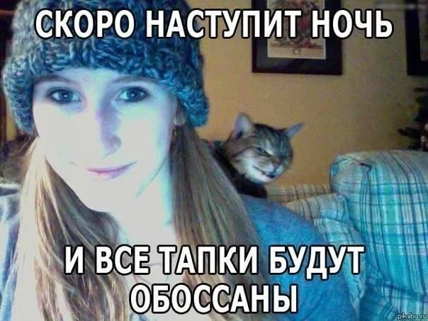 VK_Saved_Photo_ 636843819840789289.webp