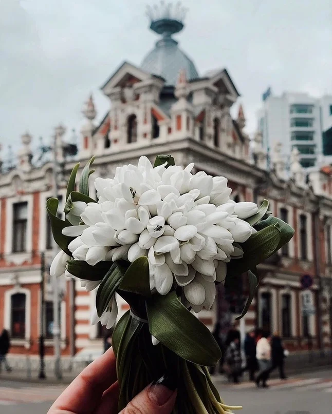 VK_Saved_Photo_ 636857655676639851.webp