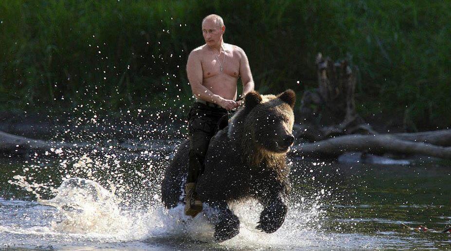 vladimir_and_the_bear_1427939797_.jpg