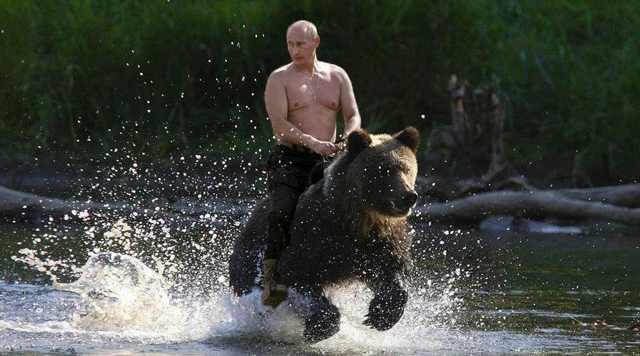 vladimir_and_the_bear_1427939797_.webp