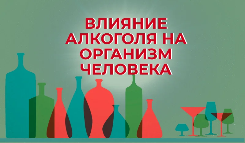 влияние-алкоголя-на-организм-77447.webp