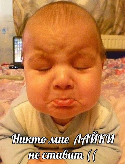 VmG8-tSnCNI.webp