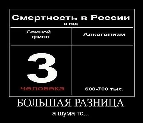 vncDBPgAK00.webp