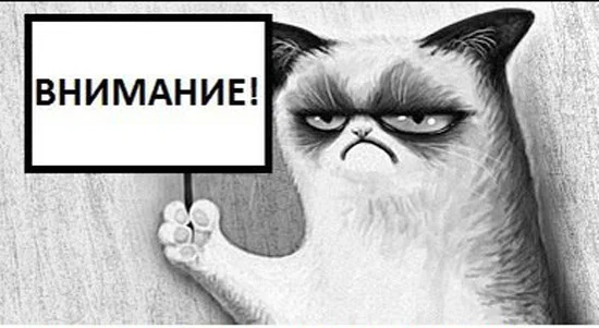 внимание.webp