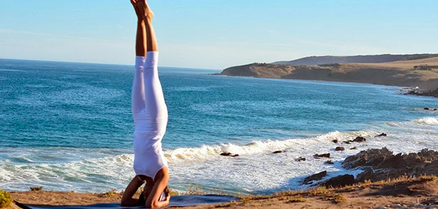 вниз головой.webp