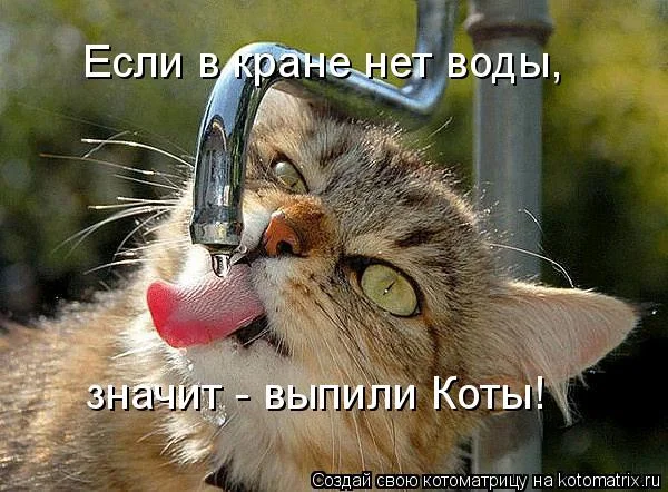 воды.webp