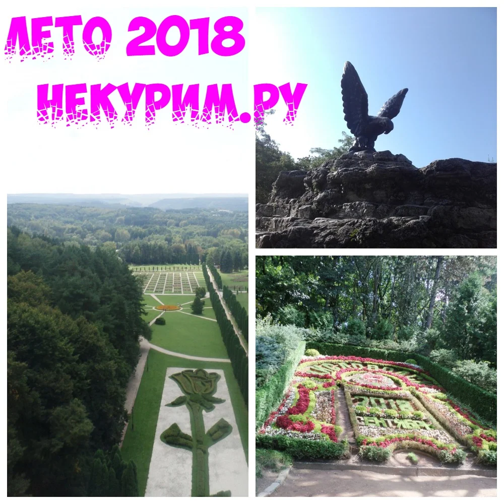 Волгоградка коллаж2.webp