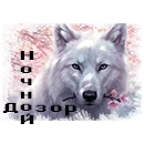 Волк Ава3.webp