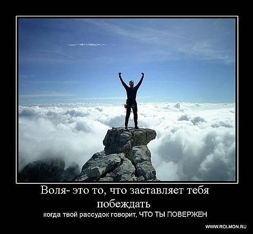 Volya.webp