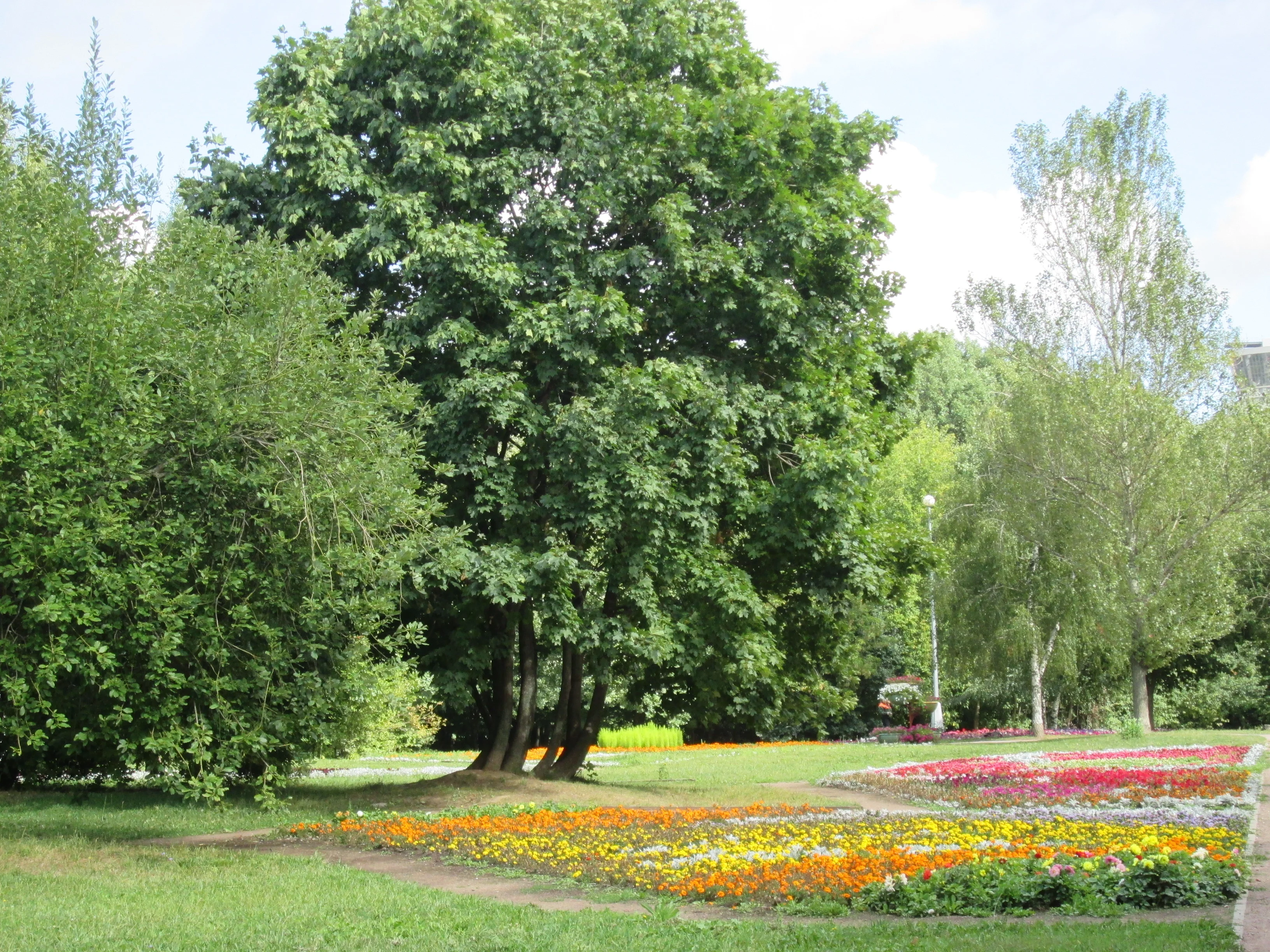 воронцовский парк.webp