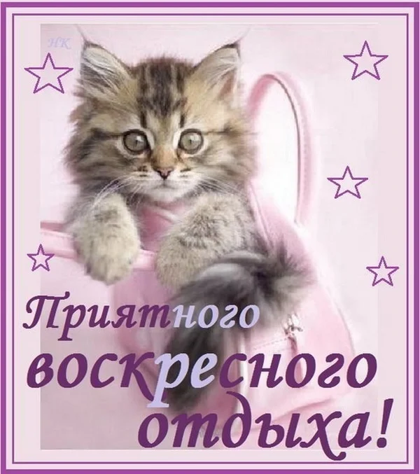 воскресенье 12.webp