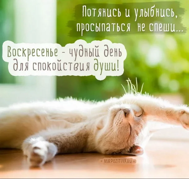 воскресенье 15.webp