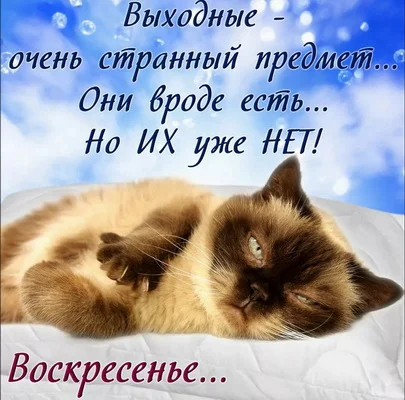 воскресенье 18.webp