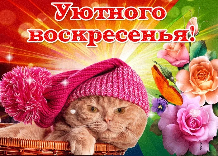воскресенье 19.webp