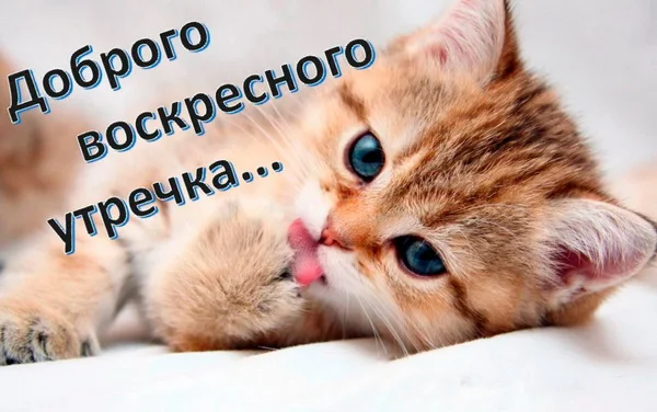 воскресенье 20.webp