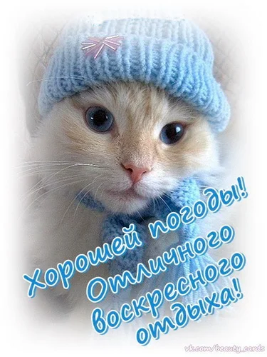 воскресенье 22 1.webp