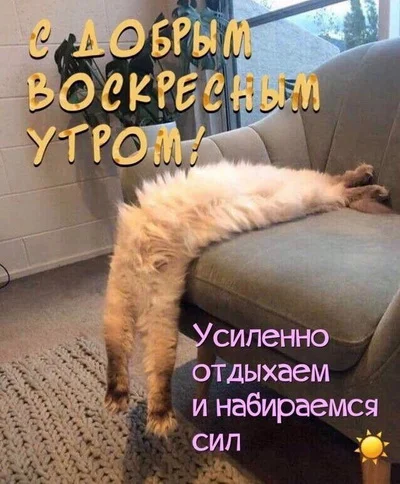 воскресенье 24.webp
