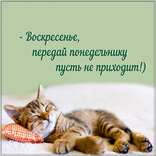 voskresene-kartinka-prikolnaya-dlya-podnyatiya-nastroeniya-smeshnaya.webp