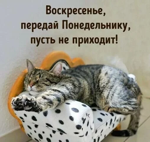 voskresene-peredaj-ponedelniku-pust-ne-prixodit.webp