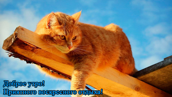 воскресенье1.jpg
