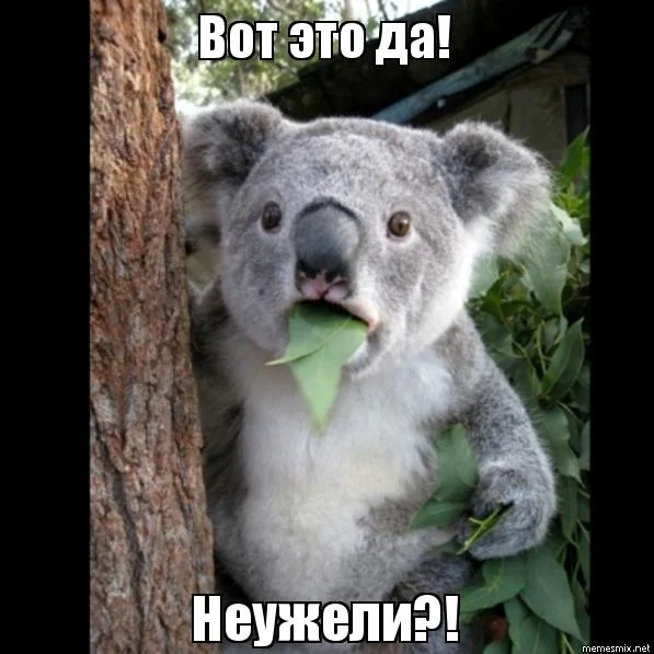 вот это да.webp