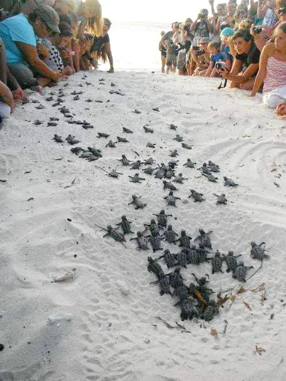 вперёд  в новую жизнь !.webp