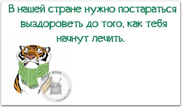 vq6fAgb1CrA.webp