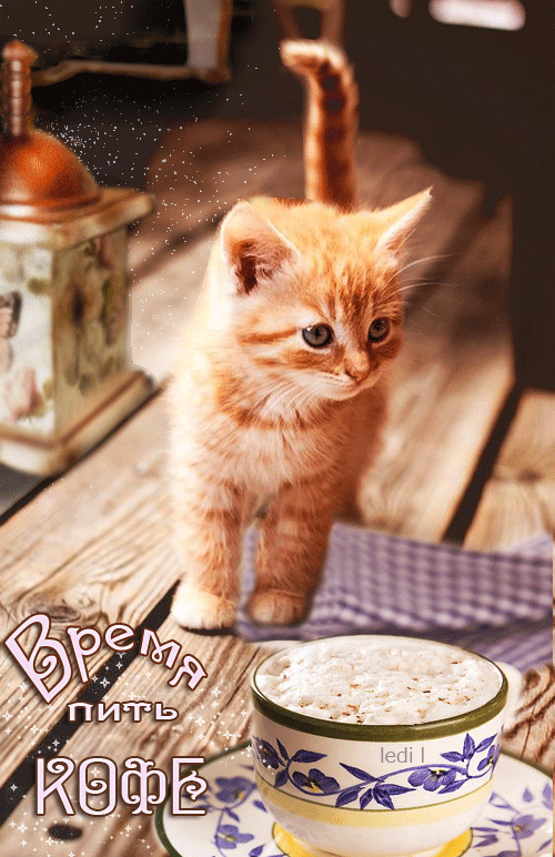 Время-пить-кофе.gif