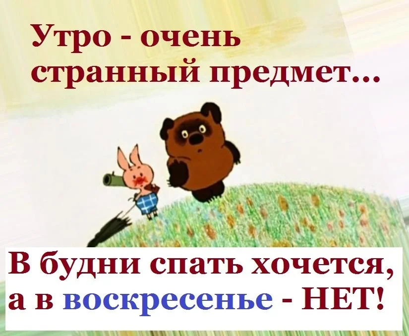 вс 1.webp