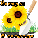 Вс4.png