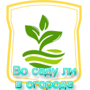 Вс5.png