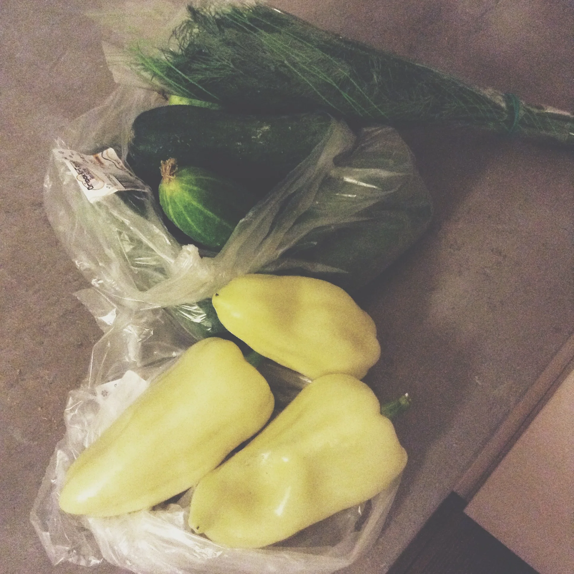 vscocam-photo-1 (1).webp