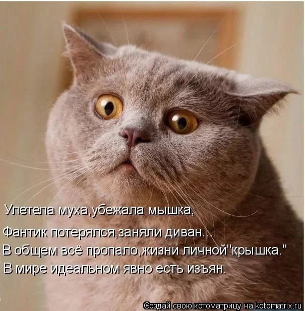 всё не слава богу.webp