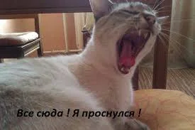 все сюда.webp