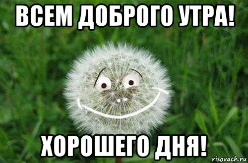 vsem-horoshego-dnya_68529525_orig_.webp