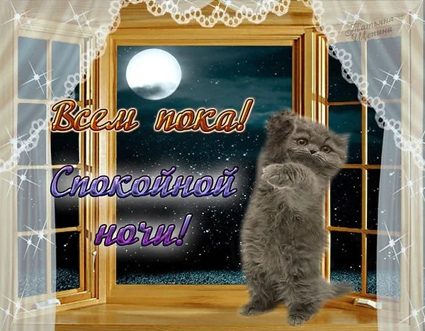 всем пока спокойной ночи.webp