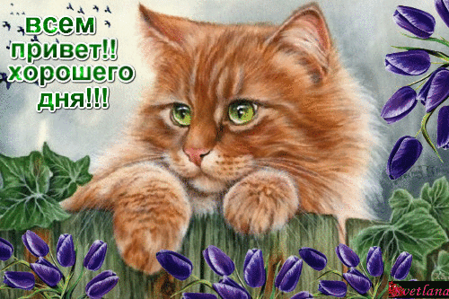 vsem-privet-xoroshego-dnya.gif