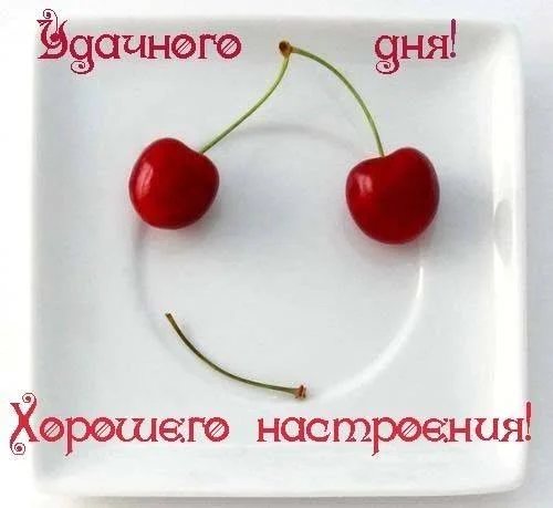 всем.webp