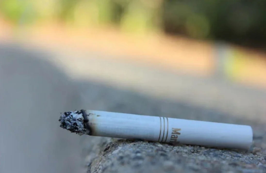 вся цепочка.webp