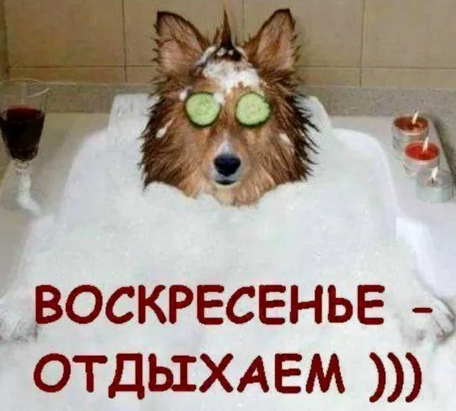 вск.webp