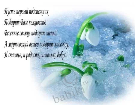 всн3.webp