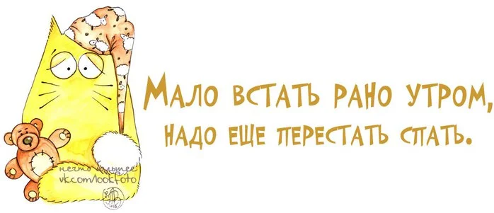 Встать и не спать.webp