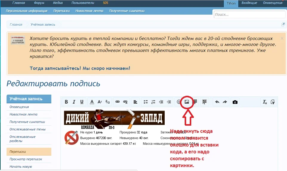 вставка.webp