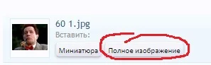 вставка.webp